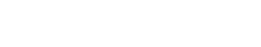 logo biale LaserWeld Mini LP 2