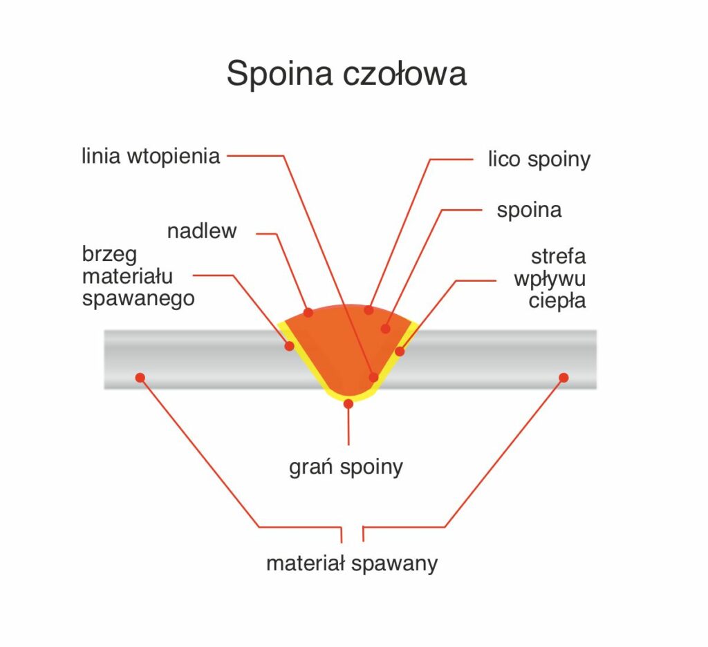 Spoina czołowa - oznaczenia