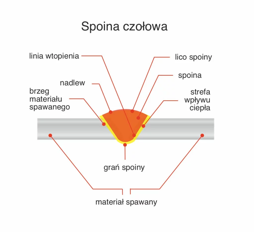 Spoina czołowa - oznaczenia